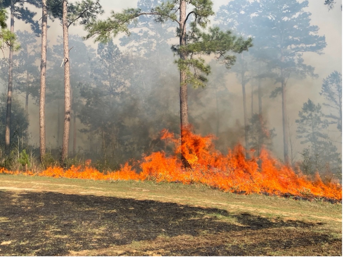 Multimodal remote sensing of controlled fires enable research on disaster response and resilience.