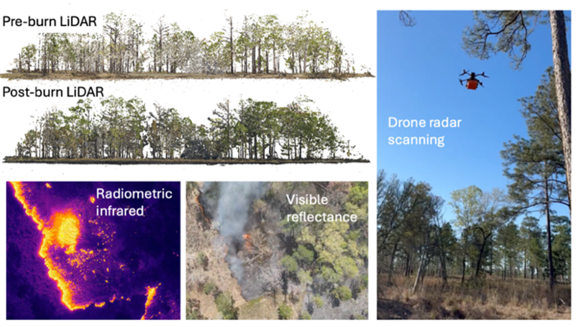 Composite data from the Tallahassee field campaign, displaying pre- and post-fire LiDAR scans, radiometric infrared imaging of the active fire spread, and airborne radar scans of the affected terrain.