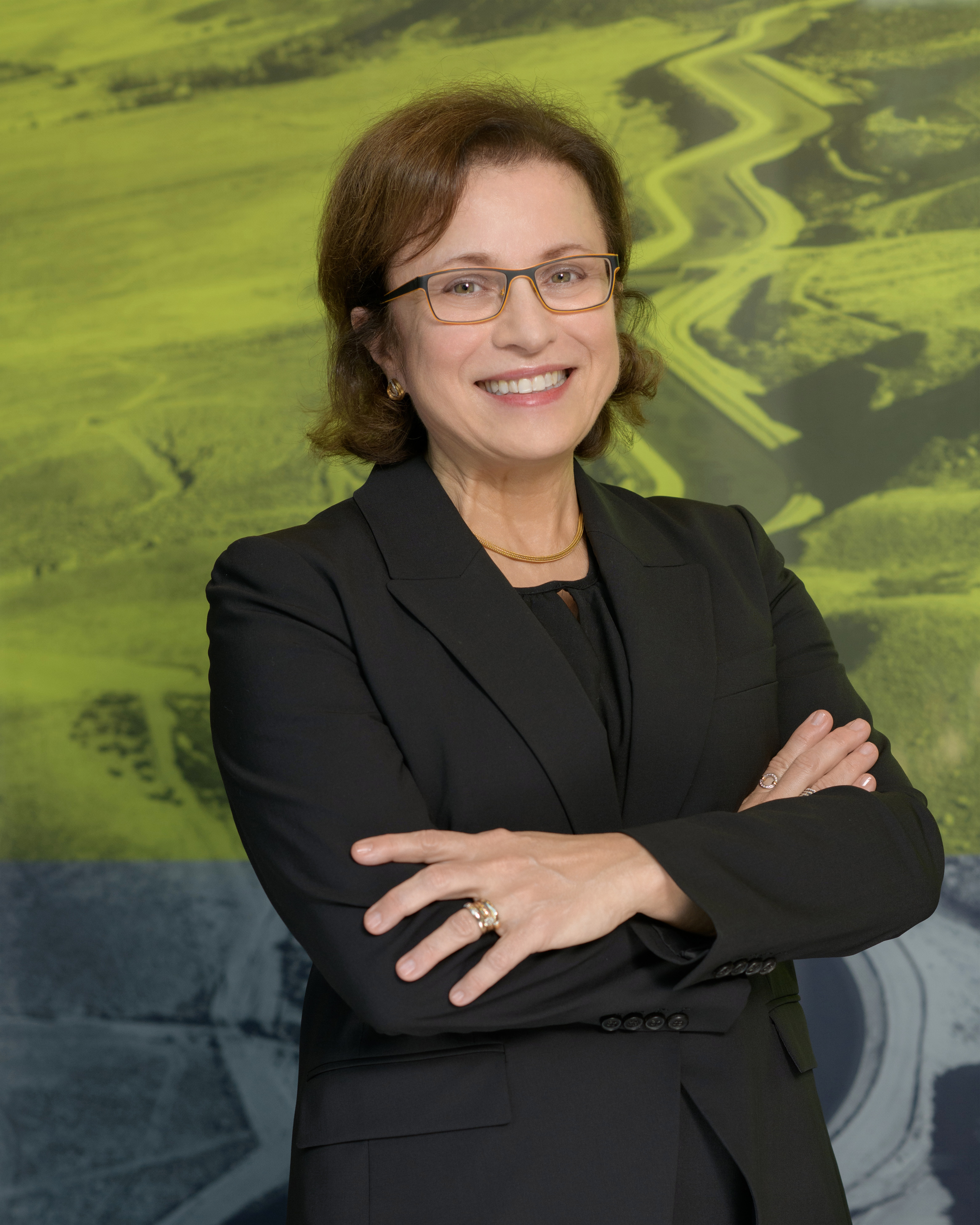 Ana P. Barros