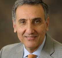 Amr Elnashai