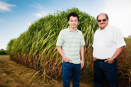 Professor Praveen Kumar, right, and graduate student Phong V.V. Le found that bioenergy crops such as miscanthus and switchgrass use more water than corn, a consideration that has been left out of the cost-benefit analysis for land conversion.