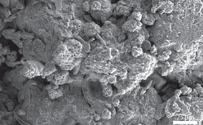 High resolution scanning electron microscope image of a waste incineration ash sample as obtained recently by Garg research group (2020). &nbsp;