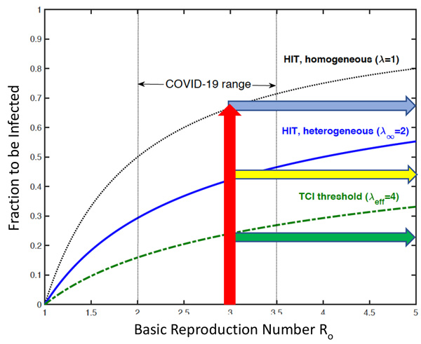 Epidemiological model showing a high value for the herd immunity threshold.