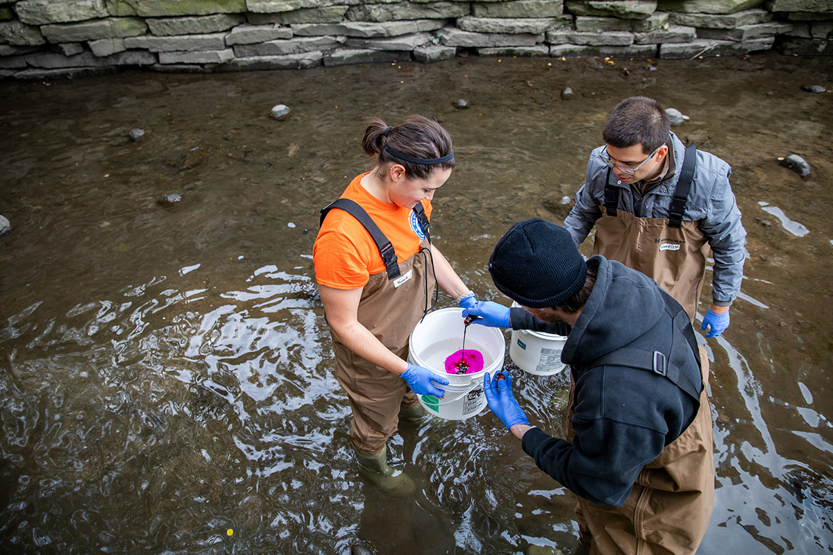 Three students wading in the Boneyard Creek