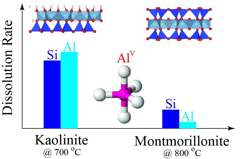 A graphic summary of the 2019 article that led to the award.