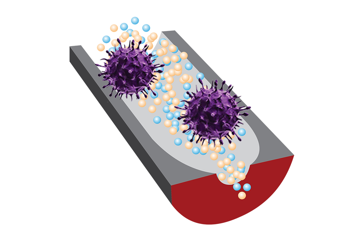 A new sensor can distinguish infectious viruses from noninfectious ones thanks to selective DNA fragments and sensitive nanopore technology. Image courtesy of Ana Peinetti