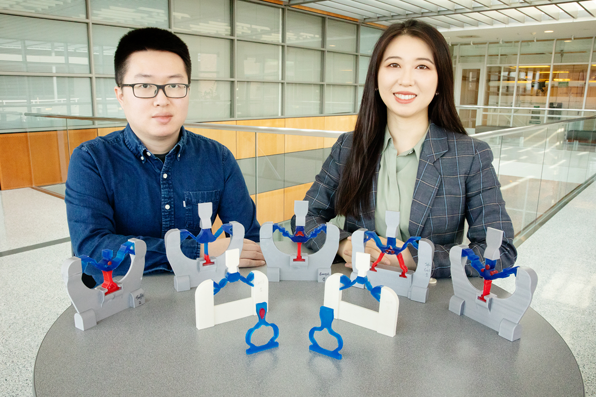 Illinois researchers Weichen Li, left, and professor Shelly Zhang demonstrate how optimization theory and computer algorithms may lead the way for soft robotics and metamaterials design. Photo by L. Brian Stauffer