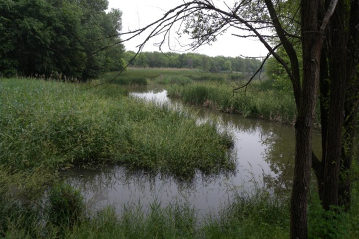 The Grand Calumet River channel in 2009, before environmental cleanup projects widened it. Photo courtesy Dongchen Wang