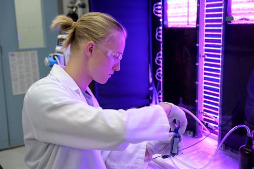 A student works in one of CEE's environmental engineering laboratories.