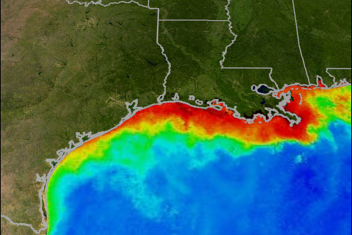 satellite image of Gulf of Mexico