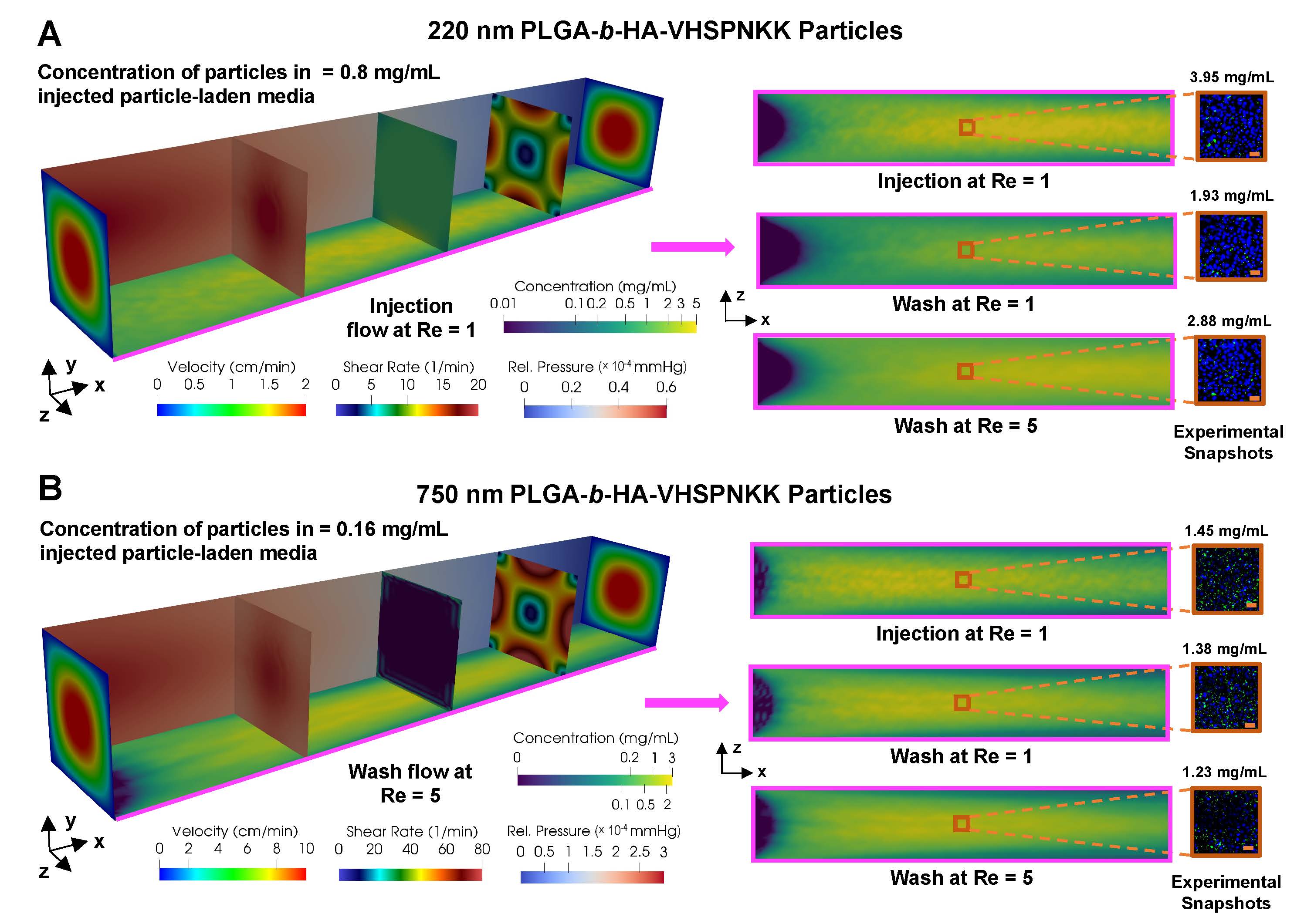 Diagram of chamber flow simulations